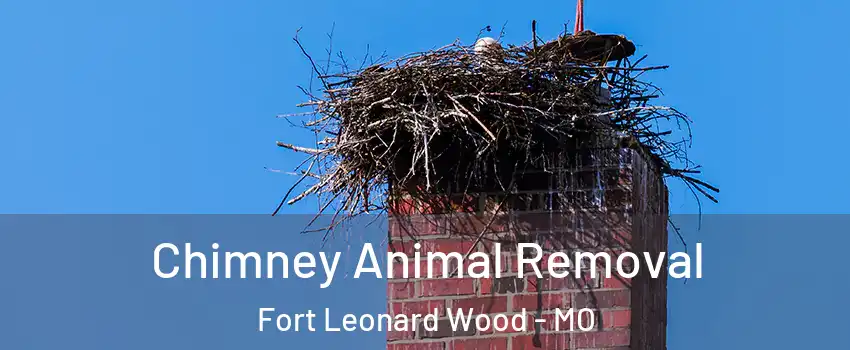  Chimney Animal Removal Fort Leonard Wood - MO