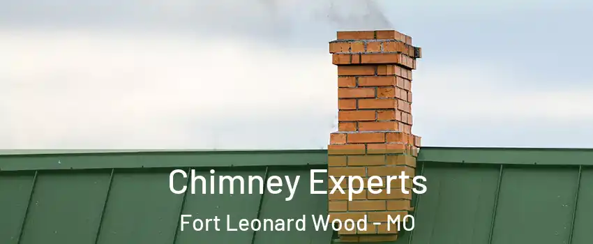  Chimney Experts Fort Leonard Wood - MO