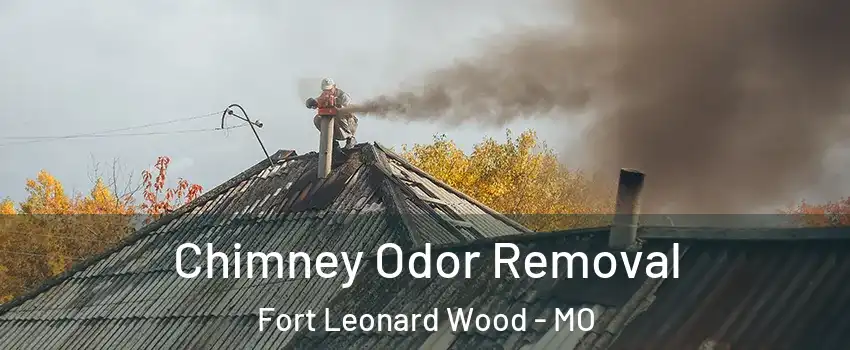  Chimney Odor Removal Fort Leonard Wood - MO