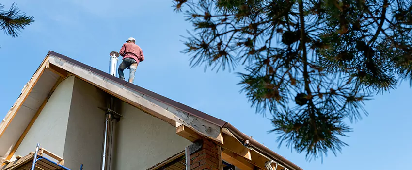 Birds Removal Contractors from Chimney in Fort Leonard Wood, MO
