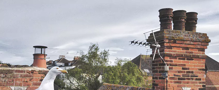 Chimney Cleaning And Restoration in Fort Leonard Wood, Missouri