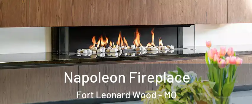  Napoleon Fireplace Fort Leonard Wood - MO