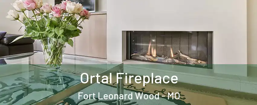  Ortal Fireplace Fort Leonard Wood - MO
